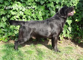 Balu-3years42
