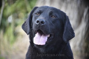 Gigi-2,5years13