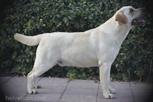 Nash-2years37