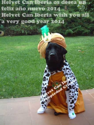 FELICITACION FIN A&Ntilde;O 2014