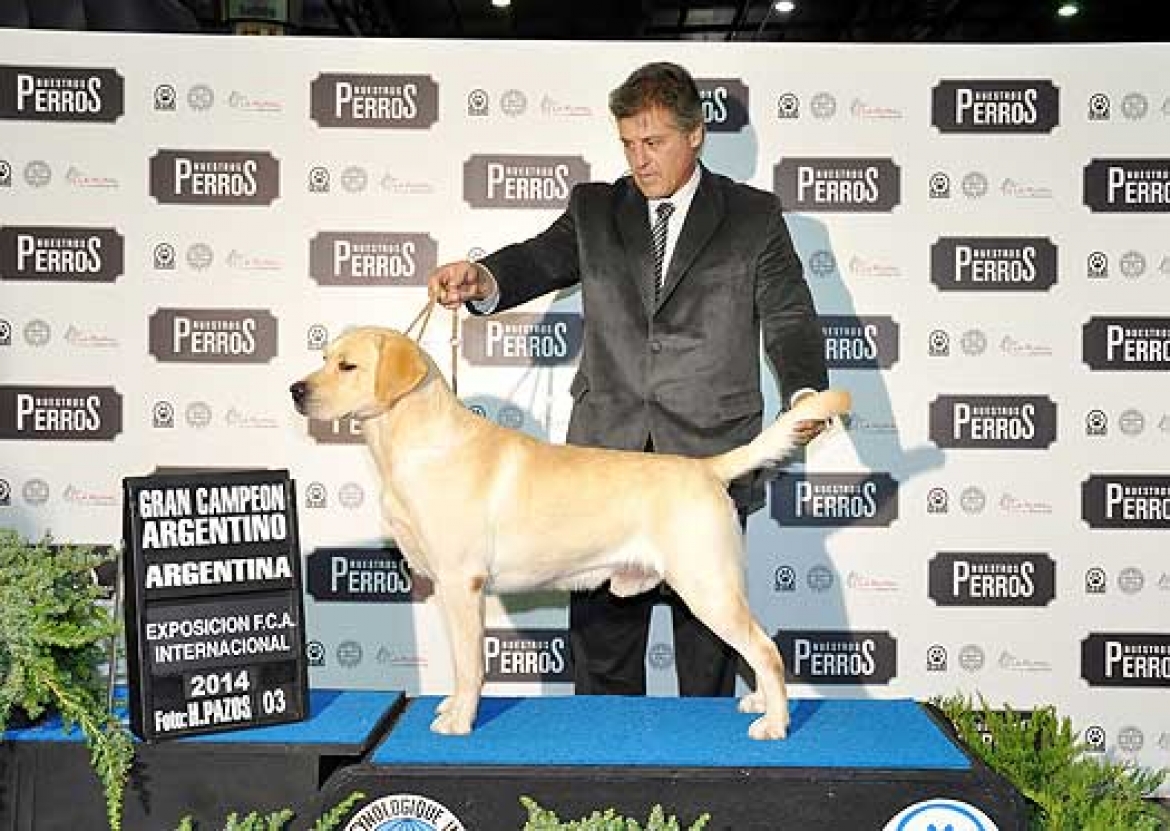 HELVET CAN USAK "BIGOTES"