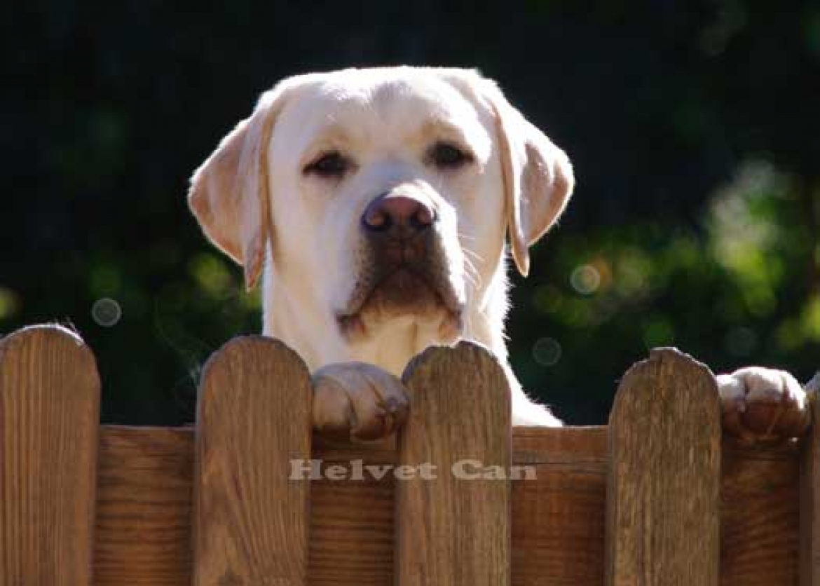 MARSHALL CUMPLE 7 MESES DE EDAD